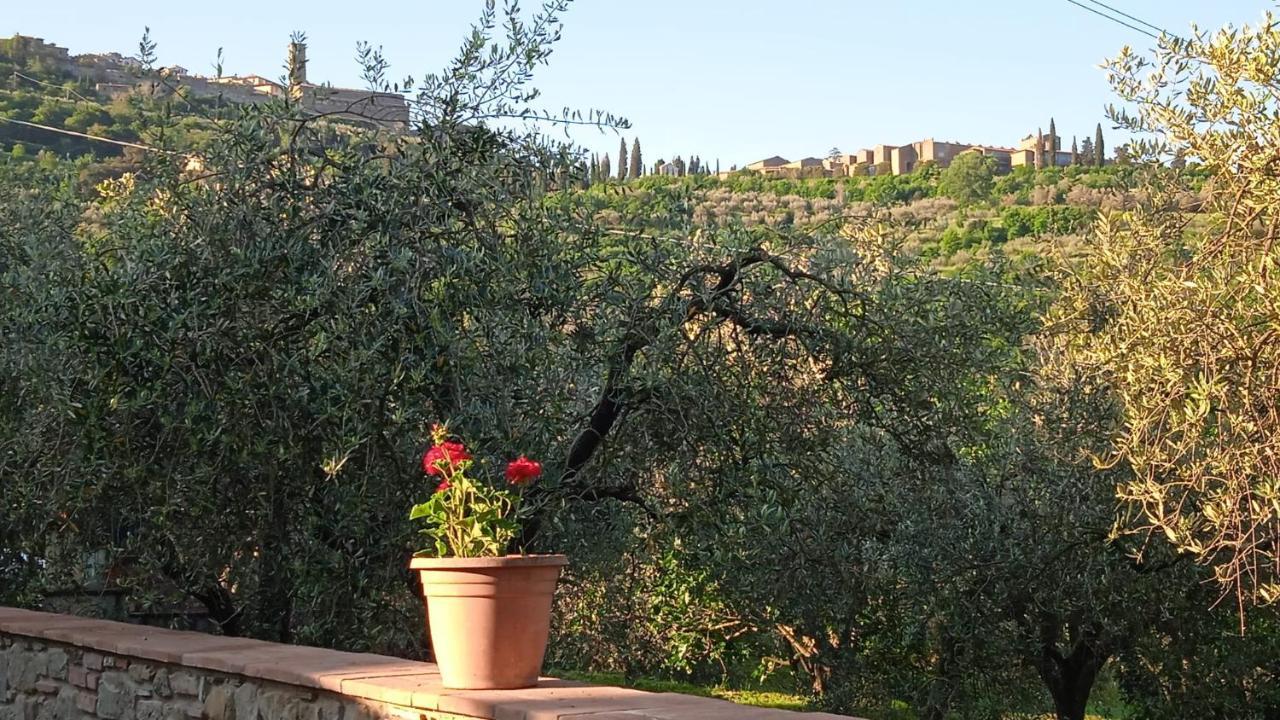 Magnolia Appartement Cortona Buitenkant foto