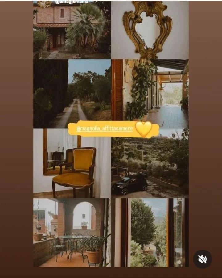 Magnolia Appartement Cortona Buitenkant foto